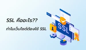 SSL คืออะไร ทำไมเว็บไซต์ต้องใช้ SSL